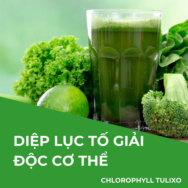 diep luc to (chlorophyll) giải độc cơ thể