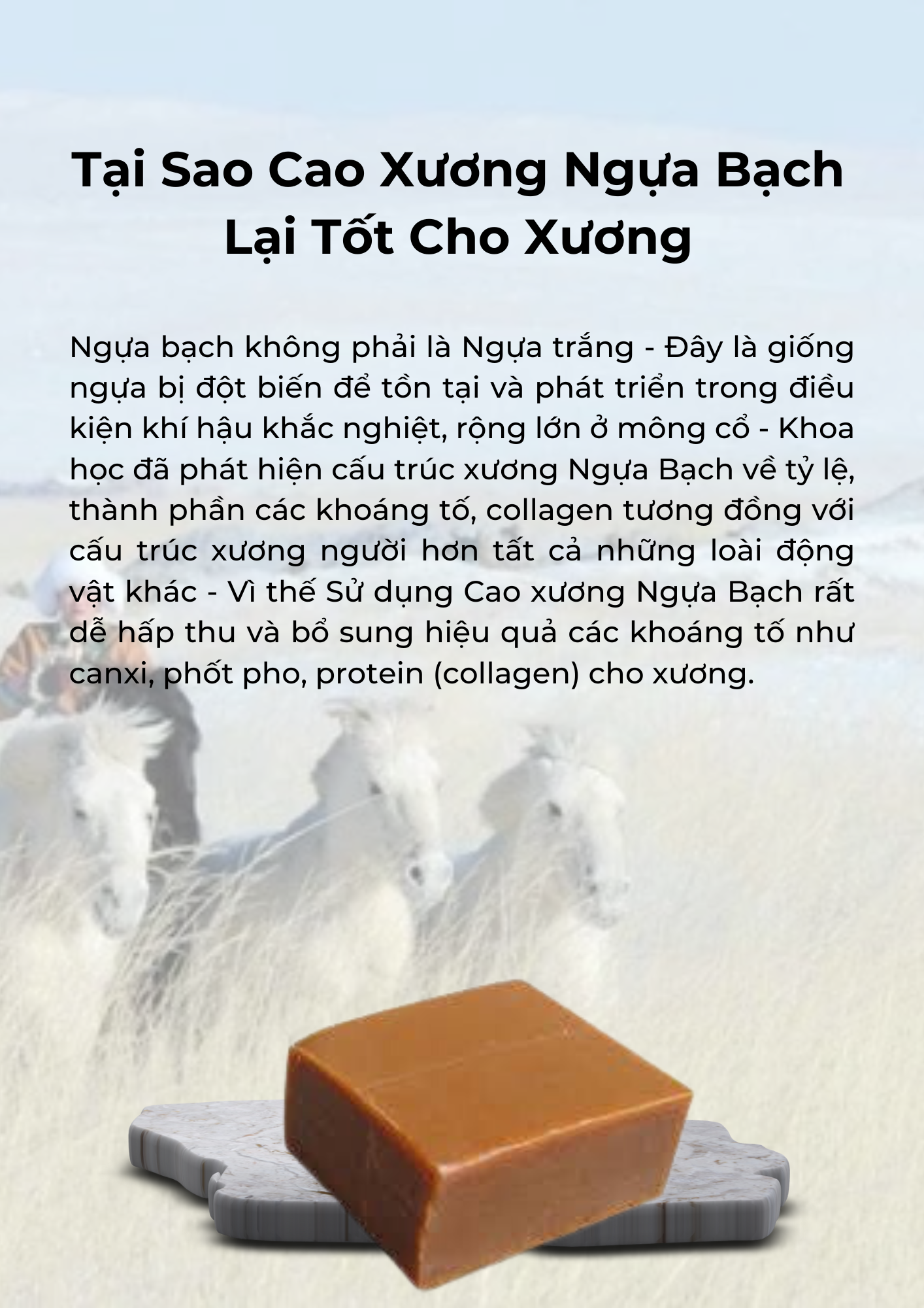 Tại sao cao xương ngựa bạch lại tốt cho xương