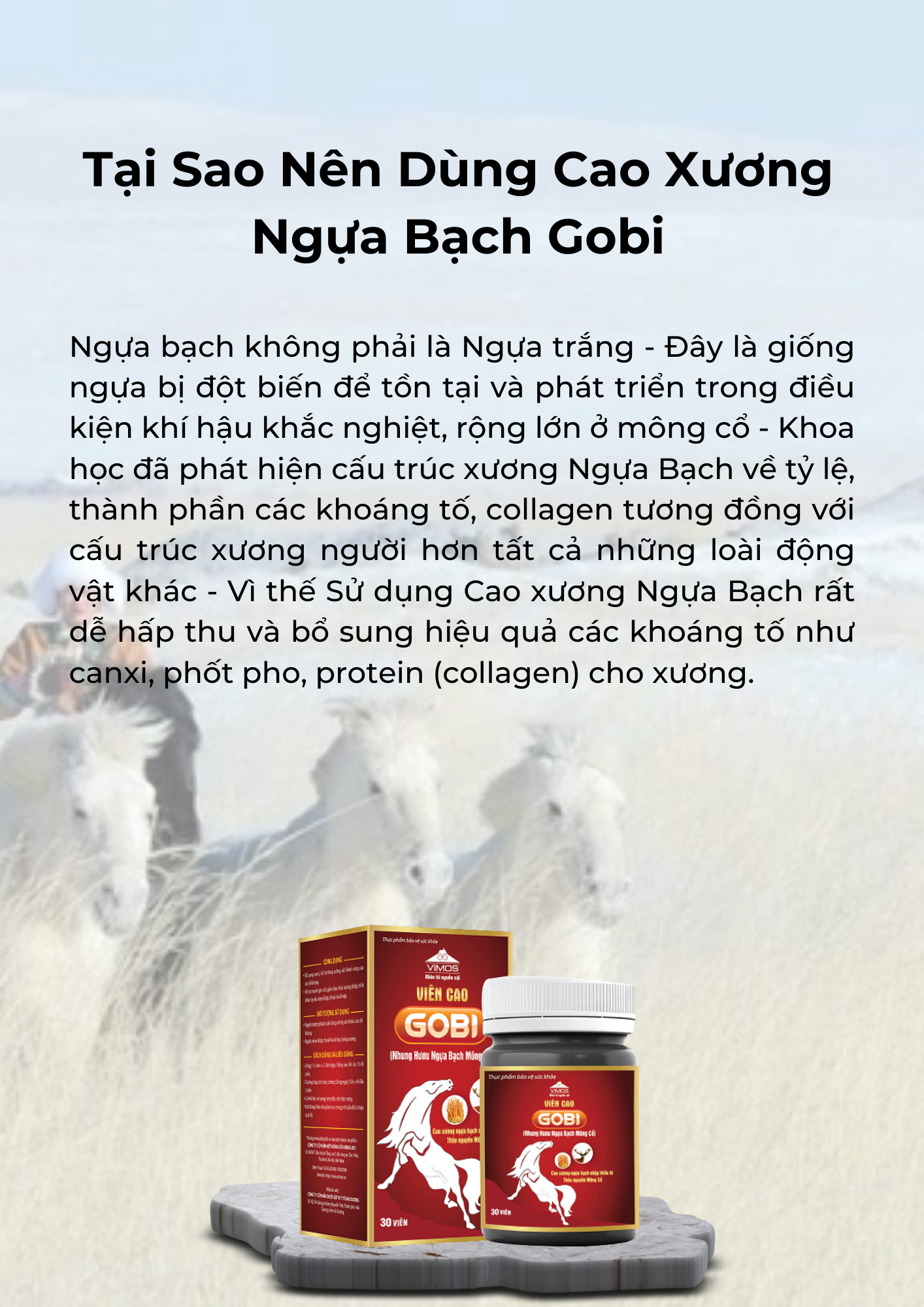 Tại sao nên dùng cao ngựa bạch gobi (1)