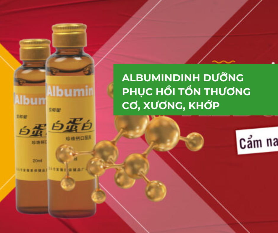 albumin, dinh dưỡng phục hồi cơ, xương, khớp