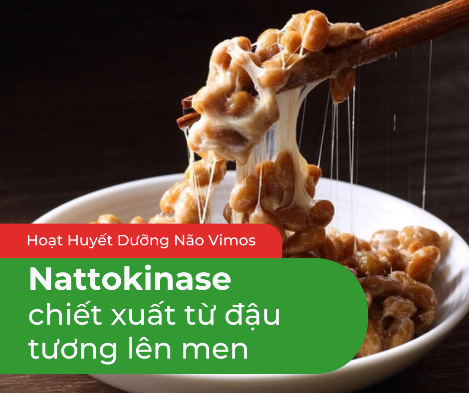 Nattokinase, chiết xuất từ đậu tương lên men