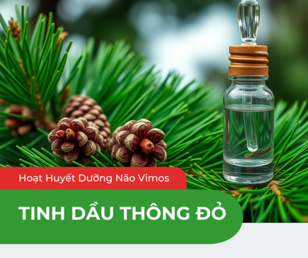 tác dụng của tinh dầu thông đỏ